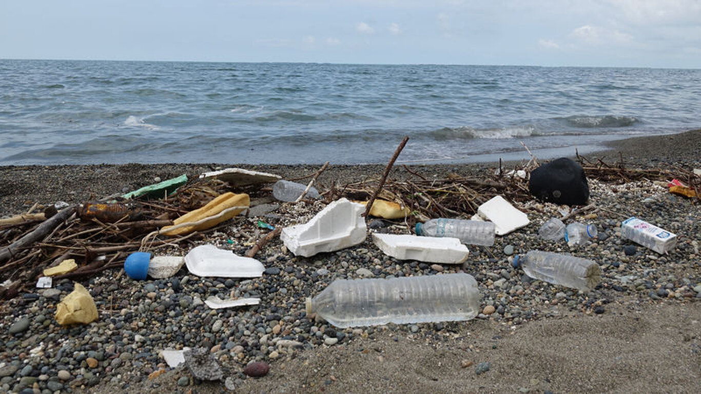 Doğu Karadeniz'de kirlilik alarmı! Yüksek kesimlere atılan çöpler sağanakta denize sürüklendi!