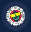 Fenerbahçe; Dimitris Pelkas, Ezgjan Alioski ve Mergim Berisha