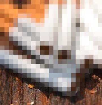 KDV artışının sigaraya yansıması 5 TL