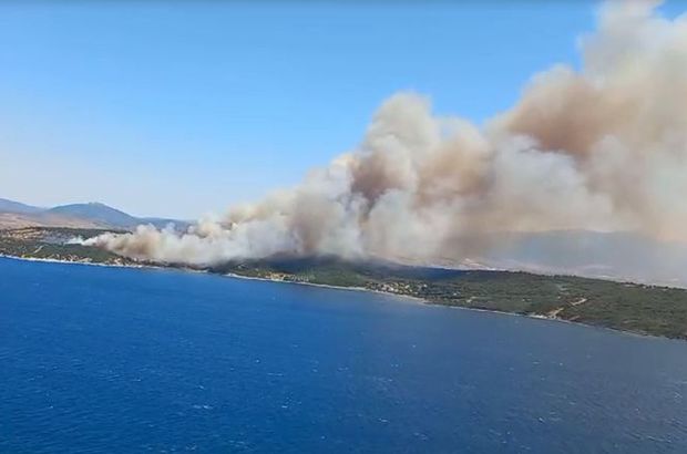 İzmir'de iki ilçede birden orman yangını çıktı!