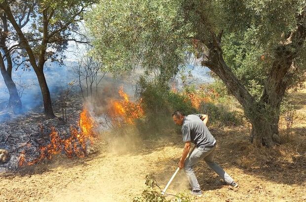 İzmir ve Kütahya'da da orman yangını!
