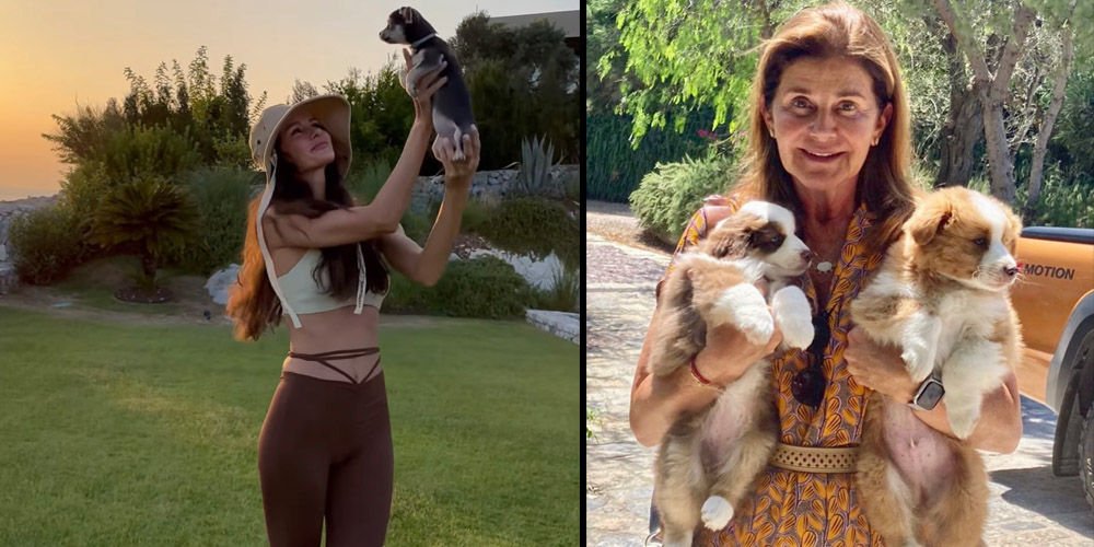 Minik dostlarını paylaştılar...