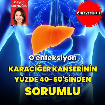 Kronik viral hepatitler karaciğer kanserinin yüzde 40-50'sinden sorumlu