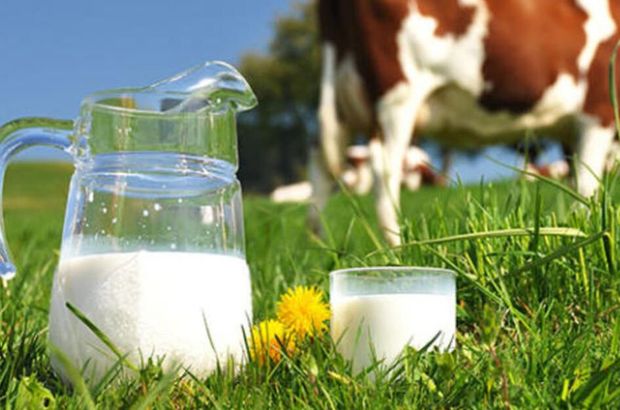 İnek sütü miktarı haziranda yüzde 1,9 arttı
