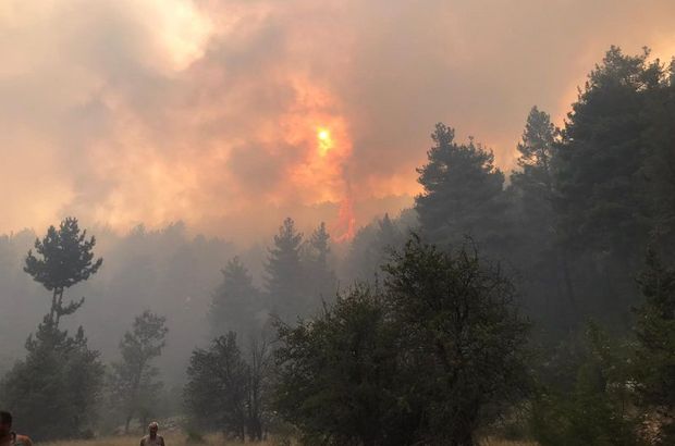 4 kentte orman yangını çıktı!