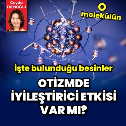 Quercetin içeren besin takviyesi otizmde iyileştirici etkiye sahip mi?