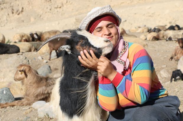 Veterinerlik öğrencisi Nimet koyun, keçi sağıyor