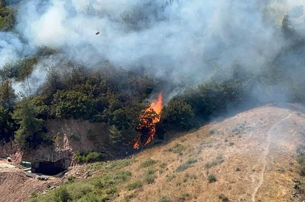 Çanakkale ve Kütahya'da orman yangını!
