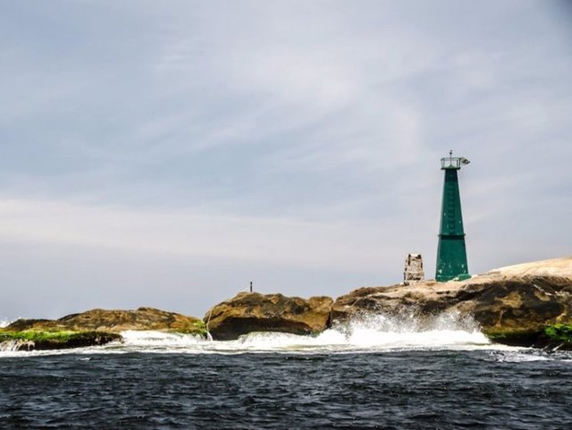 <strong>Yılan Adası – Brezilya</strong>