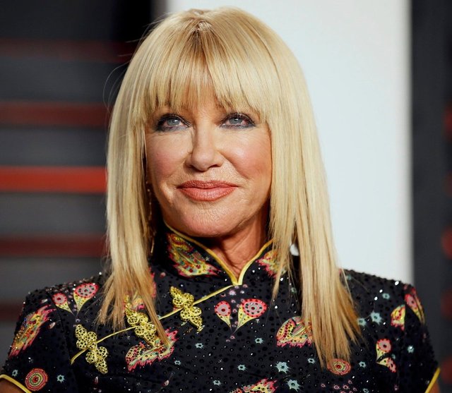 Suzanne Somers Fakes