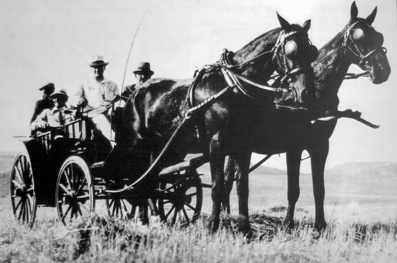 Atatürk, Orman Çiftliği'nde at arabasında. (14.07.1929)