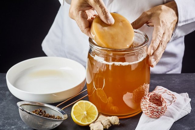 Kombucha çayı