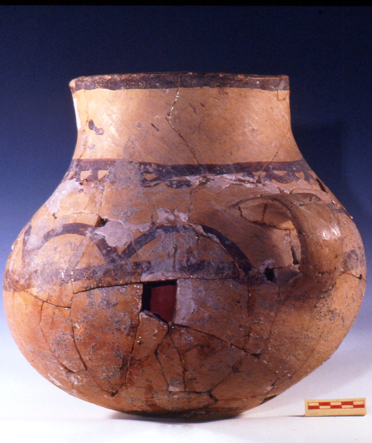 Giulio Palumbi - Mersin - Yumuktepe Caneva