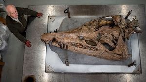 İngiltere'de 150 milyon yıl öncesine ait 'deniz canavarının' kafatası bulundu
