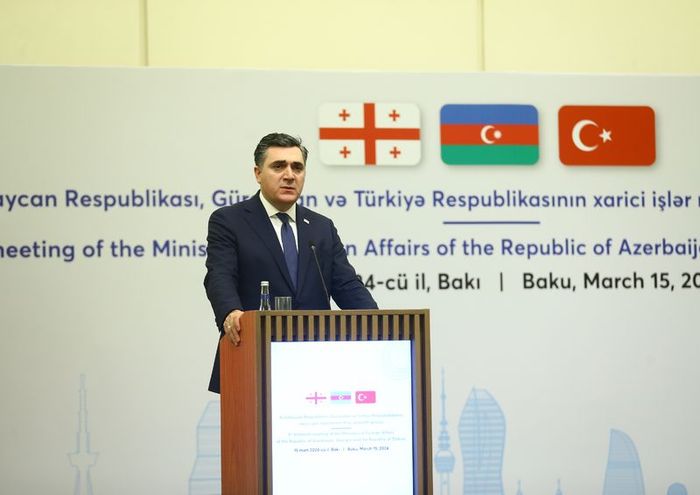 Gürcistan Dışişleri Bakanı Ilia Darchiashvili