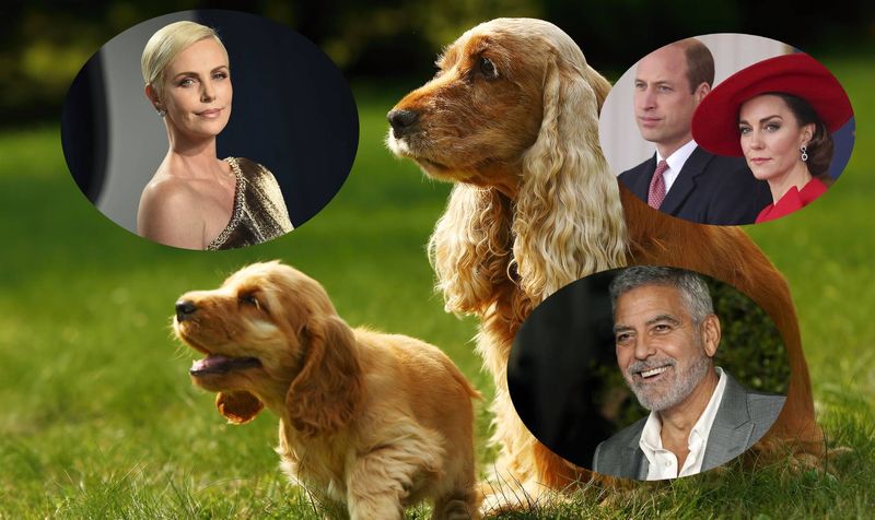 Charlize Theron, George Clooney ve Galler Prensi ve Prensesi