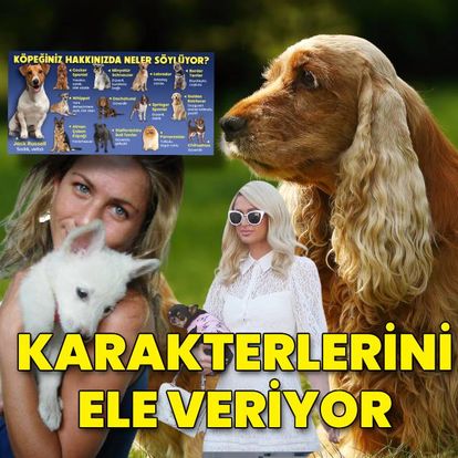 Köpeğiniz hakkınızda neler söylüyor? Ünlülerin kişiliklerini ele veriyor! - Haberler