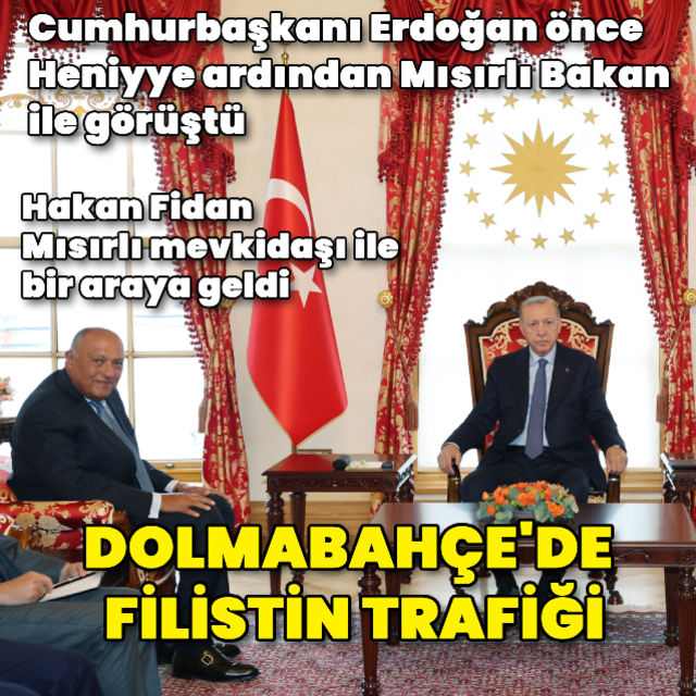Cumhurbaşkanı Erdoğan, Mısır Dışişleri Bakanı ile görüştü