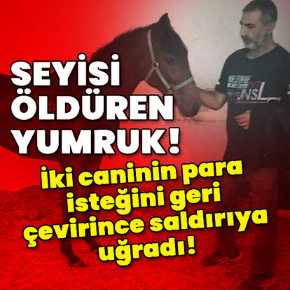 İki caninin para isteğini geri çevirince öldürüldü! - Güncel haberler