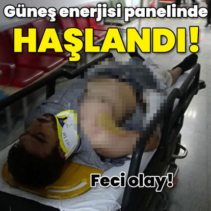 Feci olay! Güneş enerjisi panelinde haşlandı!