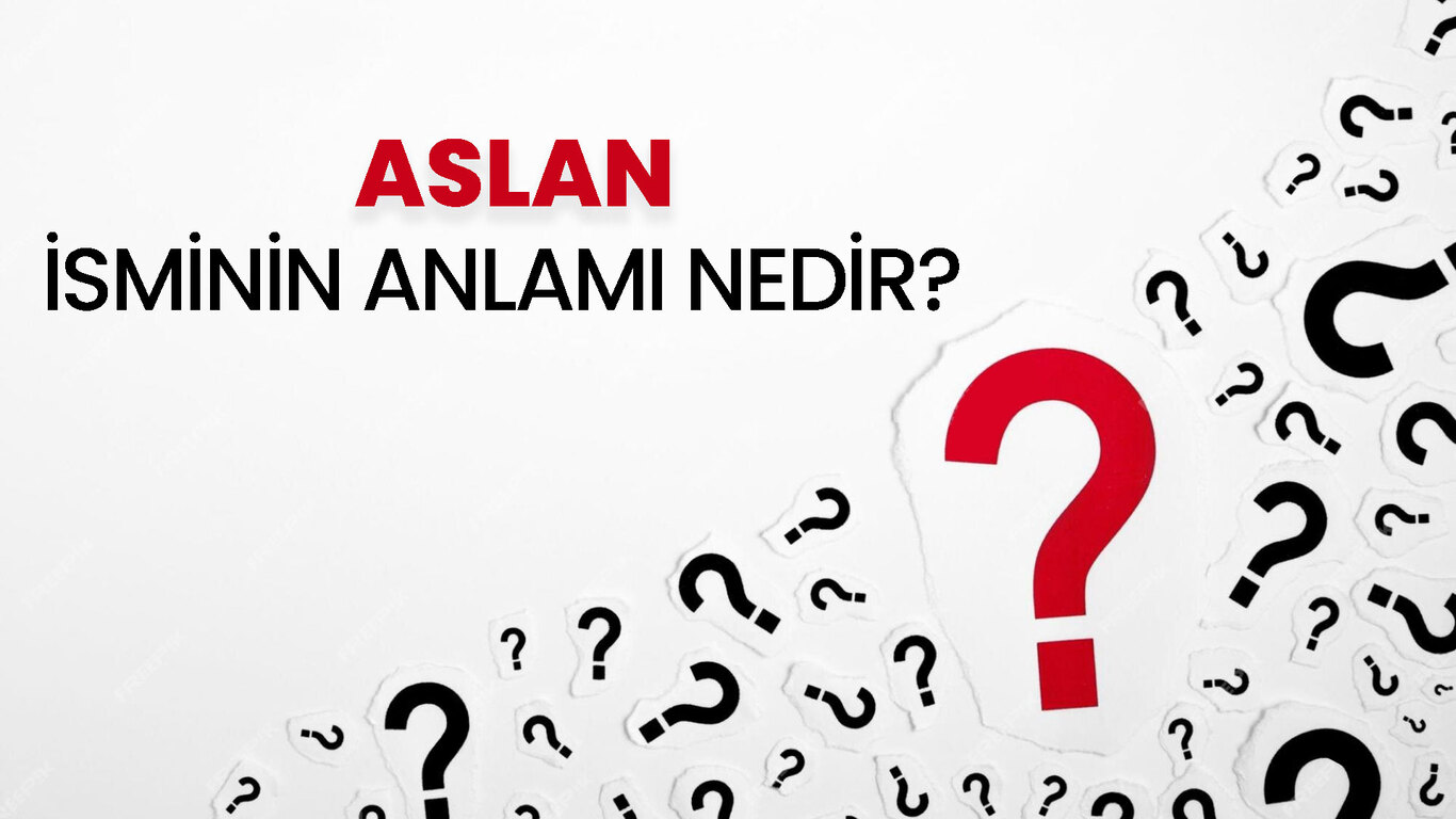3692583 Aslan isminin anlamı nedir? Aslan ne demek, Kuran'da geçiyor mu? Aslan ...