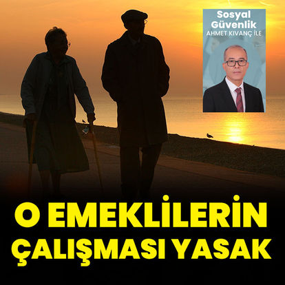 Kimler emekli olduktan sonra çalışamaz?