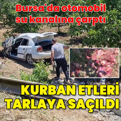 Bursa'da otomobil kaza yaptı, kurban etleri tarlaya saçıldı