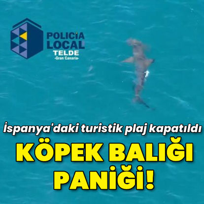 İspanya'da köpek balığı paniği!