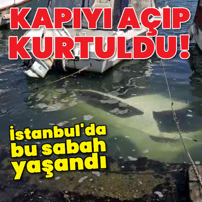 Kapıyı açıp kurtuldu!