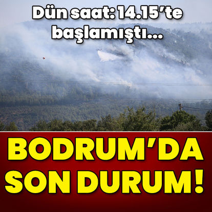 Bodrum'daki orman yangınında son durum | SON DAKİKA HABERLERİ