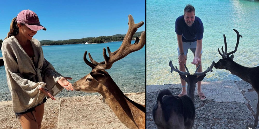 Tatilde geyik beslediler