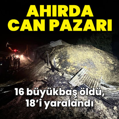 Tunceli’de ahırda yangın: 16 büyükbaş öldü, 18’i yaralandı - Güncel haberler