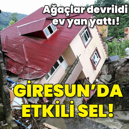 Giresun haberleri: Ağaçlar devrildi ev yan yattı! Giresun'da etkili sel!