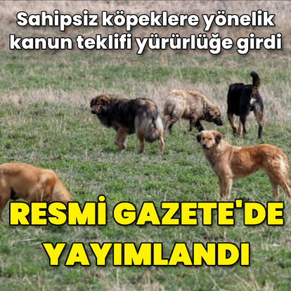 Sahipsiz köpeklere yönelik kanun teklifi Resmi Gazete’de yayımlanarak yürürlüğe girdi.