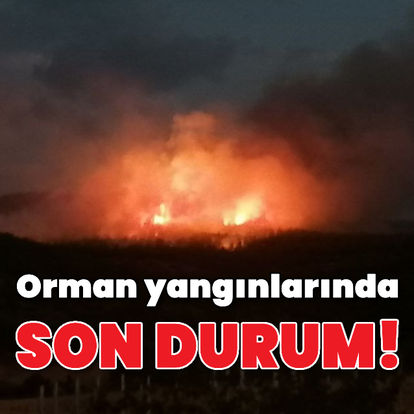 Türkiye'nin çeşitli bölgelerinde çıkan orman yangınlarında son durum!