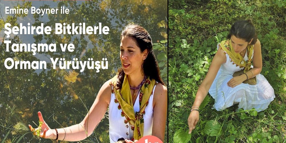 Boyner, ormanda yürüyüp bitkileri tanıtacak