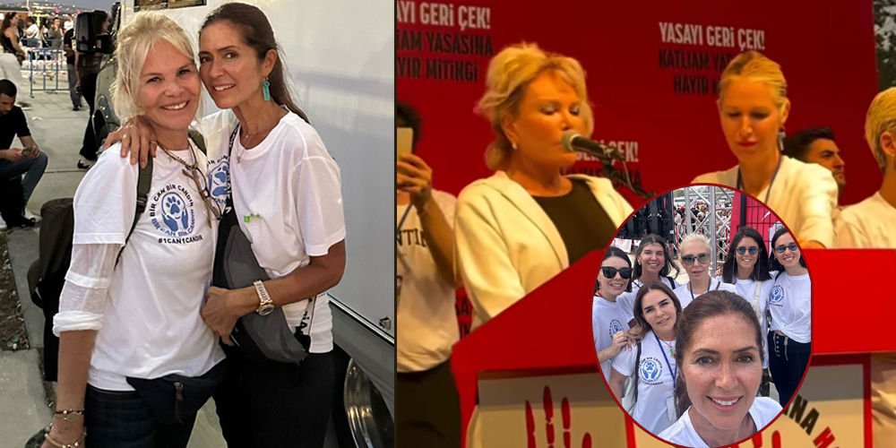 Sokak hayvanlarını korumak için bir aradalar...