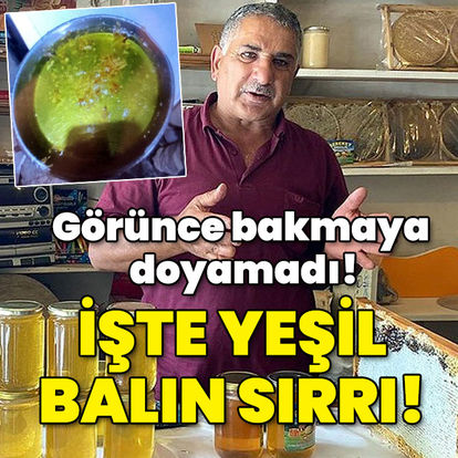 Görünce bakmaya doyamadı! İşte yeşil balın sırrı - Kars haberleri