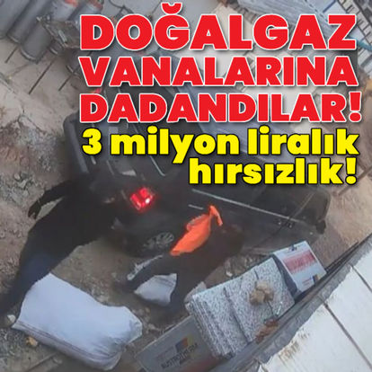 İstanbul'da yaşandı! 3 milyon liralık vanayı çaldılar! - Güncel haberler