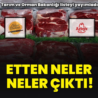 Tarım ve Orman Bakanlığı yayımladı: Etten neler neler çıktı