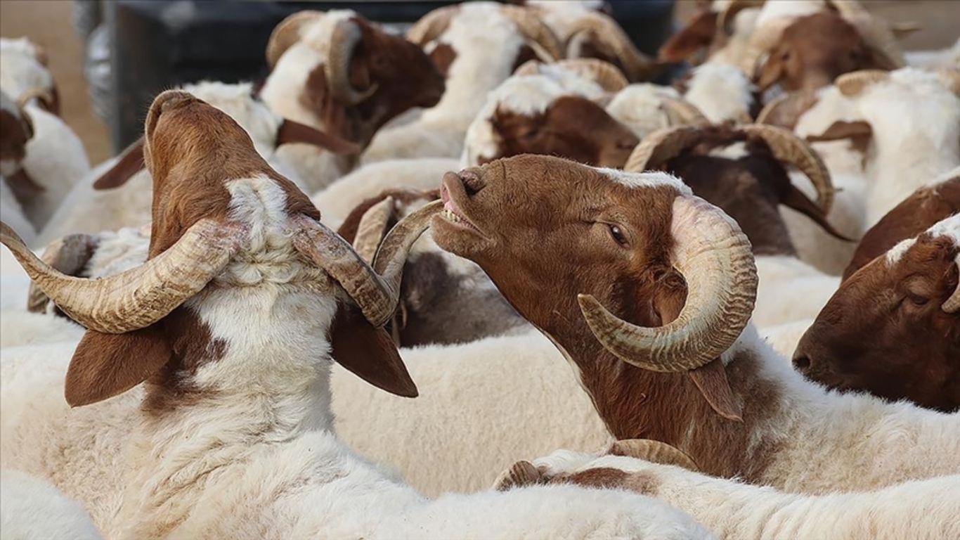 2025 dini günler takvimi Ramazan ve Kurban Bayramı ne zaman, hangi