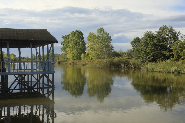 Samsun'un Terme il�esinde Mili� Lag�n�, do�al g�zellikleri ve biyolojik �e�itlili�iyle dikkati �ekiyor