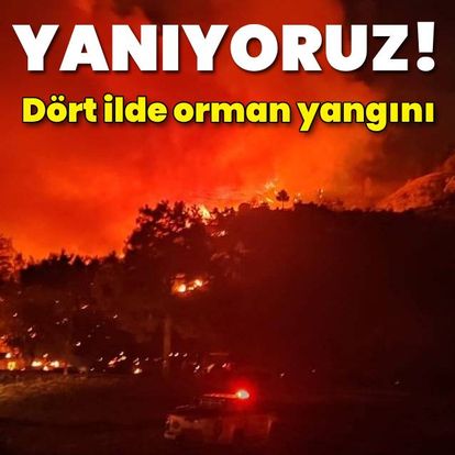 Son dakika: Adana, İzmir, Mersin ve Muğla'da orman yangını