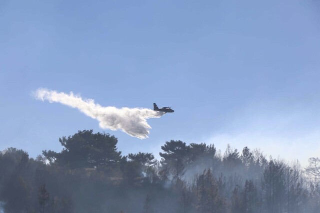 Mu�la'n�n 2 il�esinde orman yang�nlar�na m�dahale s�r�yor