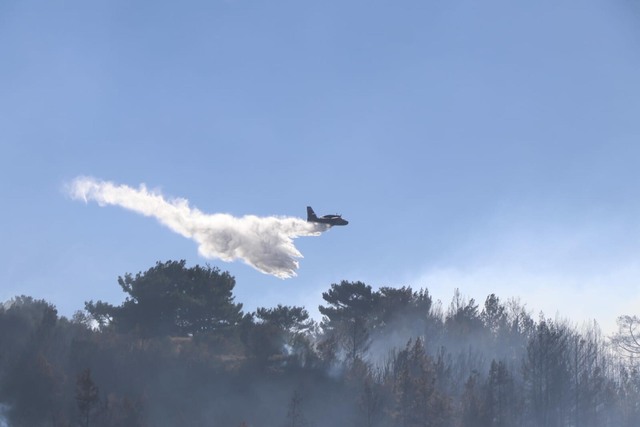 Mu�la'n�n 2 il�esinde orman yang�nlar�na m�dahale s�r�yor