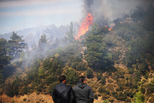 Mu�la'n�n 2 il�esinde orman yang�nlar�na m�dahale s�r�yor