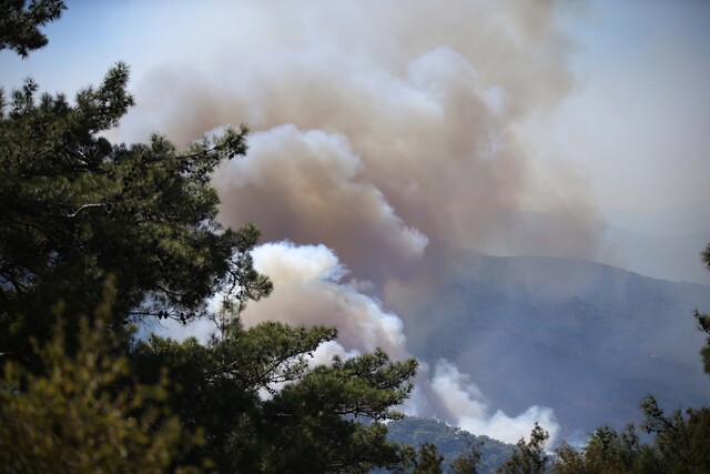 Mu�la'n�n 2 il�esinde orman yang�nlar�na m�dahale s�r�yor