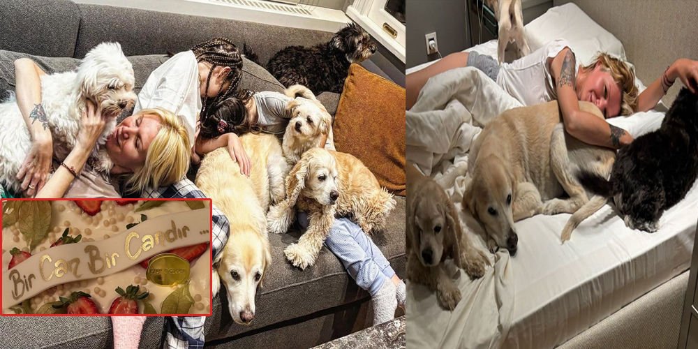 Sokak canları için 'Bir Can, Bir Candır' Derneği...