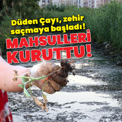 Düden kirlendi! Zehirli suyu mahsulü kuruttu