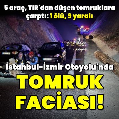 İstanbul-İzmir Otoyolu'nda tomruk faciası: 1 ölü, 9 yaralı